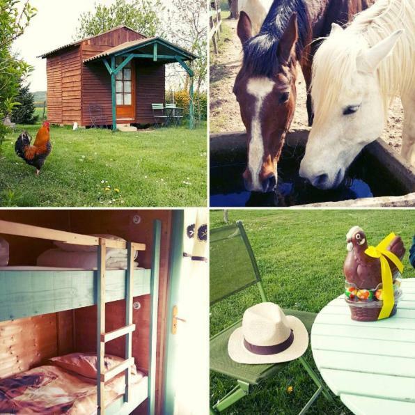 Ferme Equestre Les Chevaliers Hotel Penol Kültér fotó