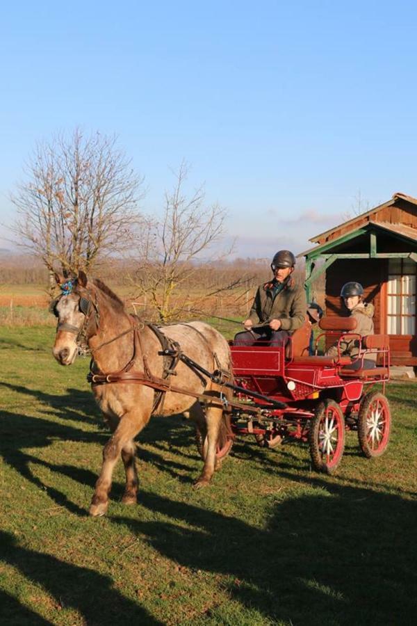 Ferme Equestre Les Chevaliers Hotel Penol Kültér fotó